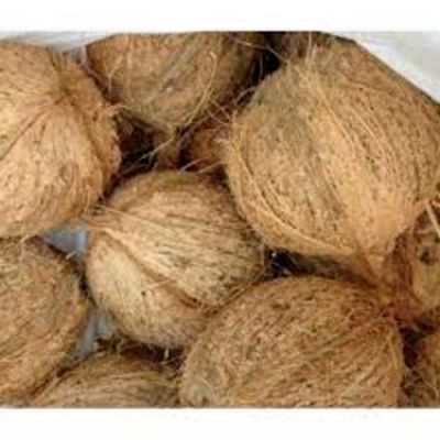 Husky coconuts - 5 KG