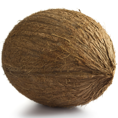 Solid Fresh Large Size Coconuts - 5KG