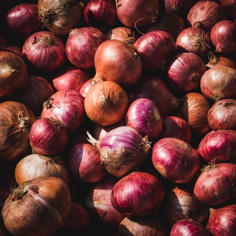 Medium Size Red Onions