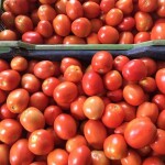 Organic Ripe Tomatoes - 5 Kg