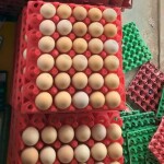 Brown and White Eggs - Tray